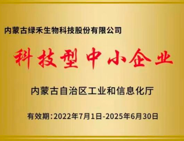 科技型中小企業(yè)